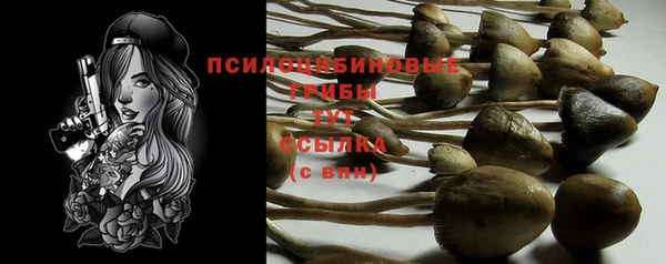 героин Михайлов